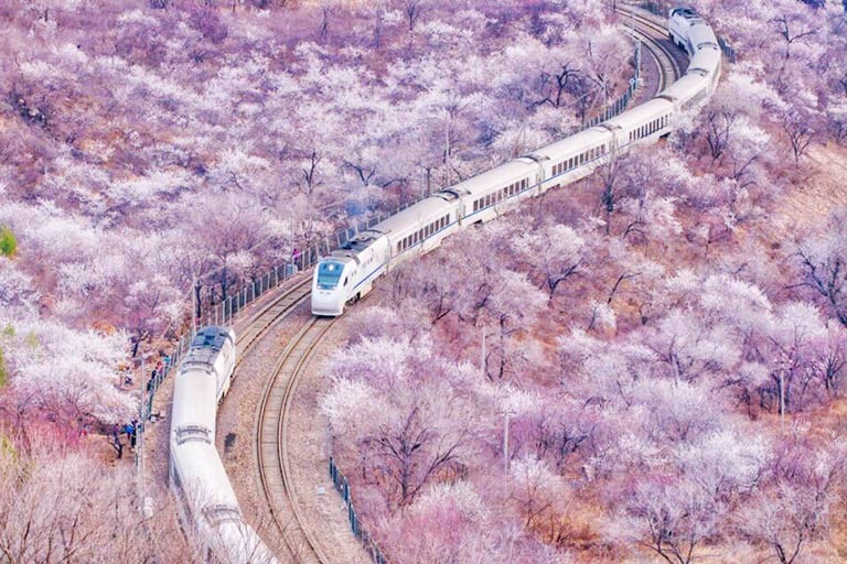 قطار سریع السیر در چین
