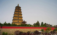 معبد غاز بزرگ وحشی شهر شیان